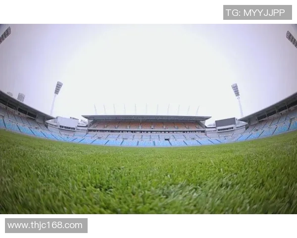 泰达足球场维修工程全面启动助力提升观赛体验与场地安全