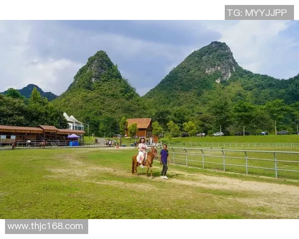 足球明星矮脚马的魅力与风采揭秘及其在球场上的独特表现